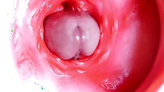 A big red cock inside a juicy hole can give sperm at any moment&excl;